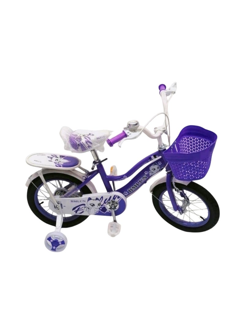 Metallic Bicycle With Disc Brakes Size 16