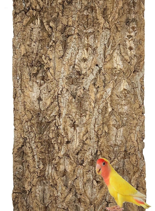 Allazone Natural Cork Perch, Bird Cork Seat Boards, Cork Bark Toy, Parrot Chewing Toy Bird Cork Perch Stand for Bird Budgie Parrot Cockatiel Hamster Guinea Pig Rat (1PCS, 30 x 40cm) - Image 1