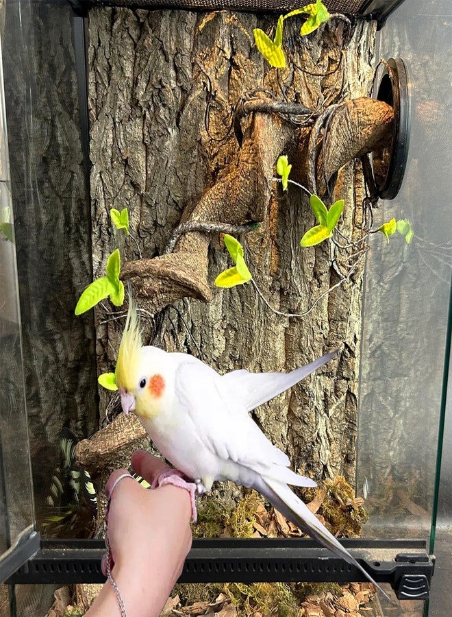 Allazone Natural Cork Perch, Bird Cork Seat Boards, Cork Bark Toy, Parrot Chewing Toy Bird Cork Perch Stand for Bird Budgie Parrot Cockatiel Hamster Guinea Pig Rat (1PCS, 30 x 40cm) - Image 4