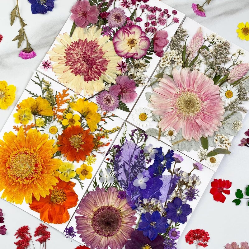 MIKIYA 98Pcs Pressed Dried Flowers for Resin Molds, Real Natural Bulk Big Dry Floral Leave for DIY Art Crafts, Epoxy Jewelry, Candle, Soap Making, Nails Decors - Image 3