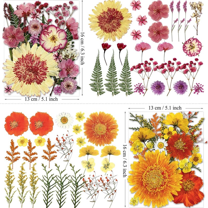 MIKIYA 98Pcs Pressed Dried Flowers for Resin Molds, Real Natural Bulk Big Dry Floral Leave for DIY Art Crafts, Epoxy Jewelry, Candle, Soap Making, Nails Decors - Image 5
