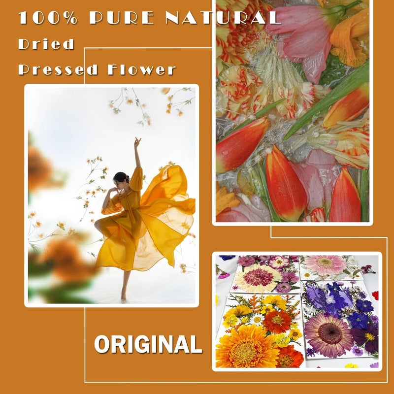 MIKIYA 98Pcs Pressed Dried Flowers for Resin Molds, Real Natural Bulk Big Dry Floral Leave for DIY Art Crafts, Epoxy Jewelry, Candle, Soap Making, Nails Decors - Image 2