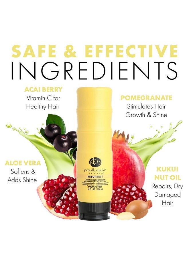 بول براون هاواي بلسم بول براون هاواي ريسوريكت عالي الجودة | يرطب ويعالج الشعر التالف | زيت جوز الكوكوي الغني بمضادات الأكسدة لترطيب الشعر بشكل مثالي | آمن للشعر المصبوغ (10 أونصة) - Image 2