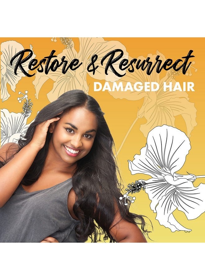 بول براون هاواي بلسم بول براون هاواي ريسوريكت عالي الجودة | يرطب ويعالج الشعر التالف | زيت جوز الكوكوي الغني بمضادات الأكسدة لترطيب الشعر بشكل مثالي | آمن للشعر المصبوغ (10 أونصة) - Image 3