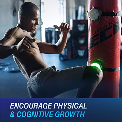 BlazePod Reaction Training Platform for Boxing & All Combat Sports. Attack, Defend and Navigate The Ring, Mat and Octagon Better Than Ever to Win Every Fight (4 Pods) - Image 2