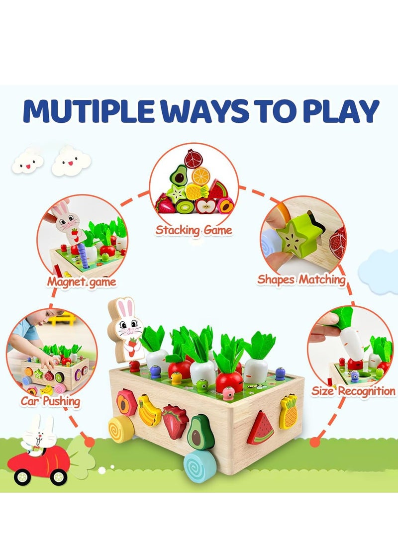 Generic - Montessori Wooden Educational Toys for Boys Girls, Shape Sorting Size Matching Toys Gifts for Kids, Wood Preschool Learning Fine Motor Skills Game - Image 1
