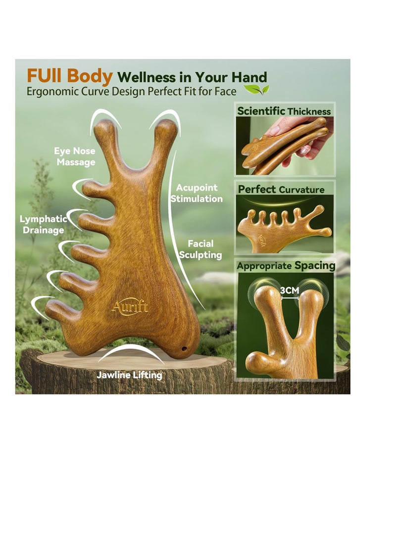 عام أداة 4-in-1 للوجه والجسم ، خشب الصندل الأخضر الطبيعي-الصرف اللمفاوي ، رفع الفك ونحت الأنف ، مشط تدليك الرأس للتخفيف - Image 3