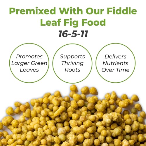 PERFECT PLANTS Fiddle Leaf Fig Soil by Perfect Plants 8QTS, Premium Professional Blend for All Fiddle Leaf Figs - Image 3
