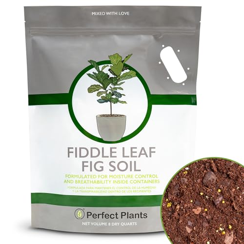 PERFECT PLANTS Fiddle Leaf Fig Soil by Perfect Plants 8QTS, Premium Professional Blend for All Fiddle Leaf Figs - Image 1
