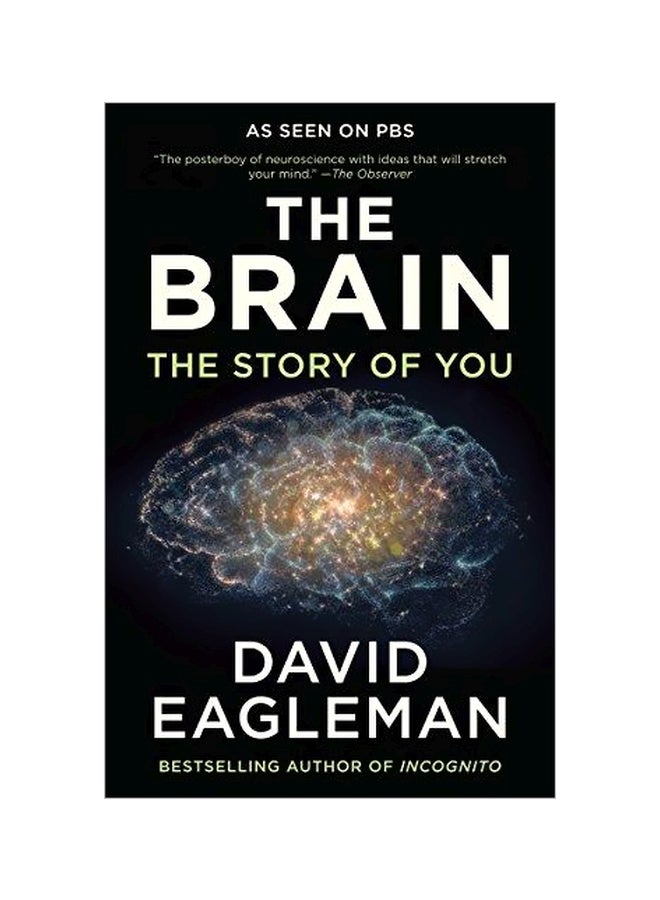 المخ البشري