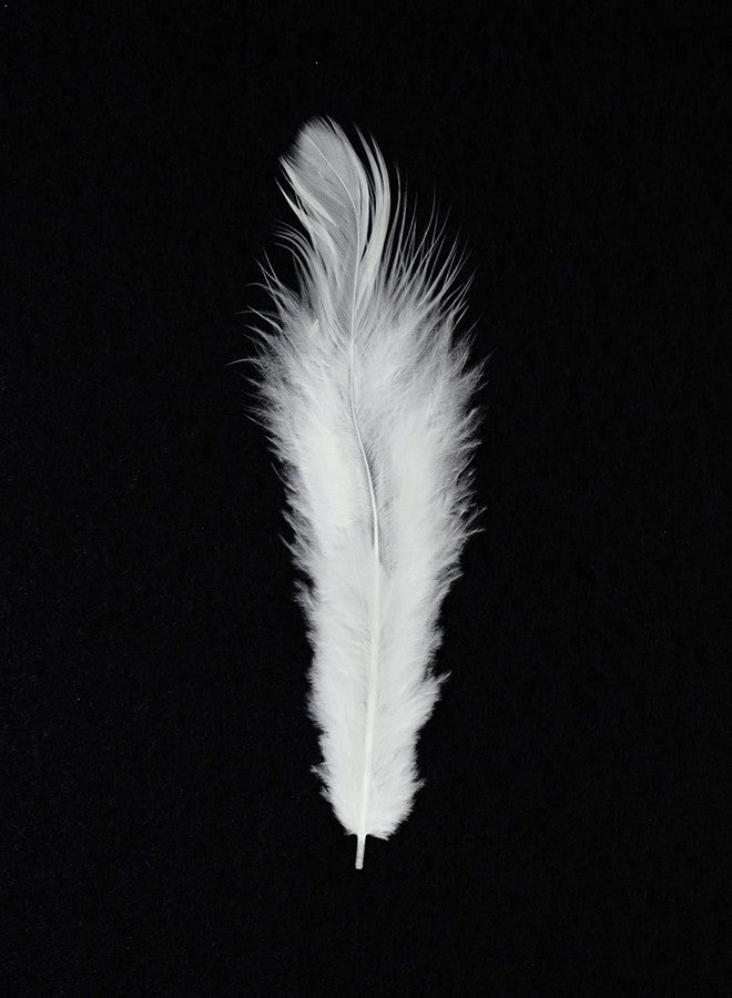 Utkarsh Natural Dyed White Multi-Purpose Craft Feathers (Approximately 80pc) for Dream Catcher Artificial Jewelry Making Art & Craftworks s DIY Hobby Crafts Kids Projectworks Scrapbooking - Image 3
