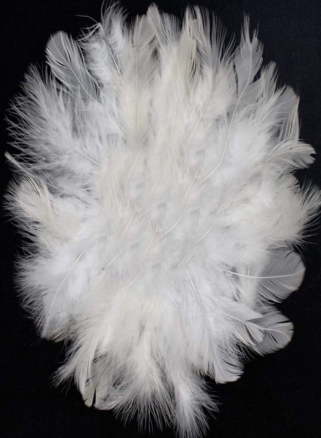 Utkarsh Natural Dyed White Multi-Purpose Craft Feathers (Approximately 80pc) for Dream Catcher Artificial Jewelry Making Art & Craftworks s DIY Hobby Crafts Kids Projectworks Scrapbooking - Image 2