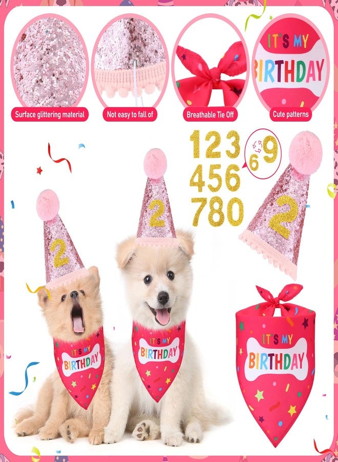 Cutecrop Dog 2nd Birthday Gifts Set, Dog Boy Girl Birthday Decorations, Pink Hat Bandana Squeaky Cake Toy Paw Print Kit for Small, Medium, Large Pets - Image 3