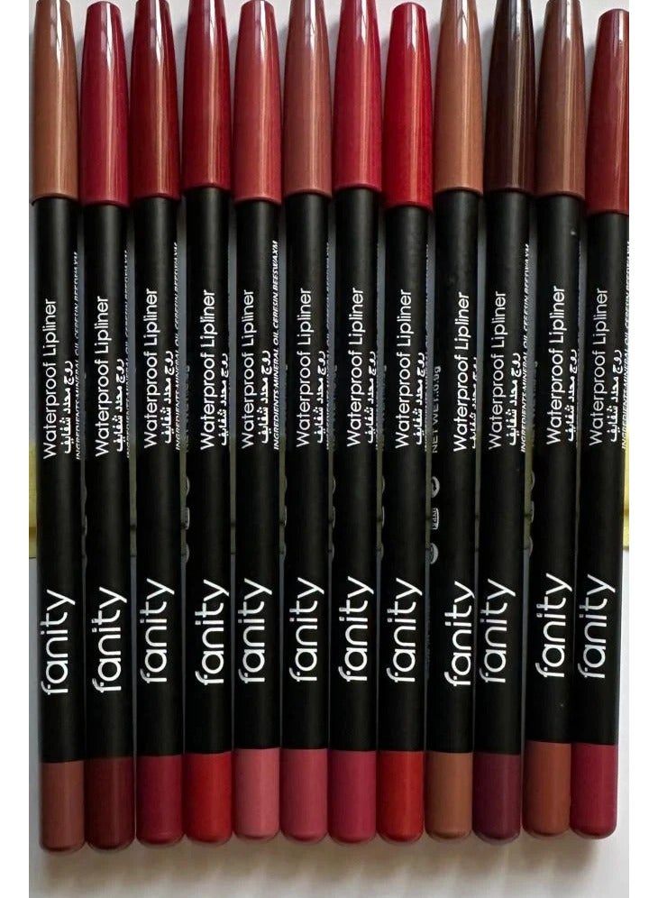 فانيتي مجموعة فانِتي قلم تحديد الشفاه مقاوم للماء – 12 لون - Image 4