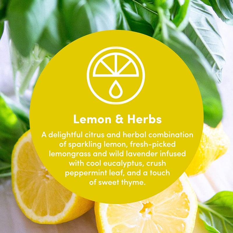 Clean Revolution Multi Surface Cleaner Refill Supply  Non-Toxic  Eco-Friendly & Plant-Based  Ready To Use  Lemon & Herbs  128 Fl Oz (1 Gallon) - Image 3