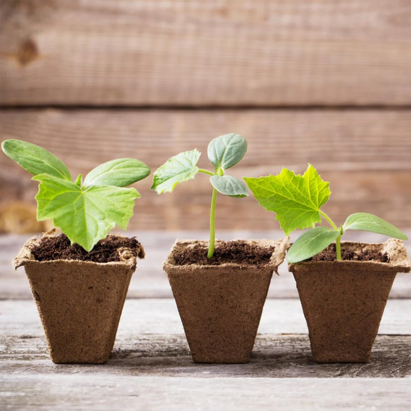 Park Seed CowPots 4-inch Tall Square Nitrogen-Rich Plant Seedling Starter, Set of 12 - Image 2