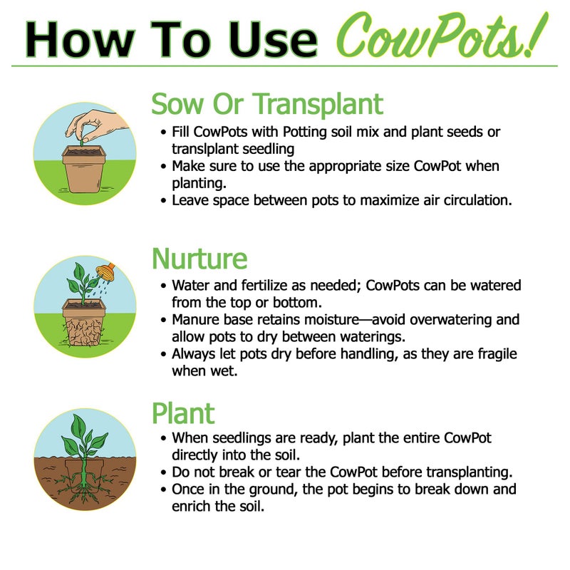 Park Seed CowPots 4-inch Tall Square Nitrogen-Rich Plant Seedling Starter, Set of 12 - Image 3