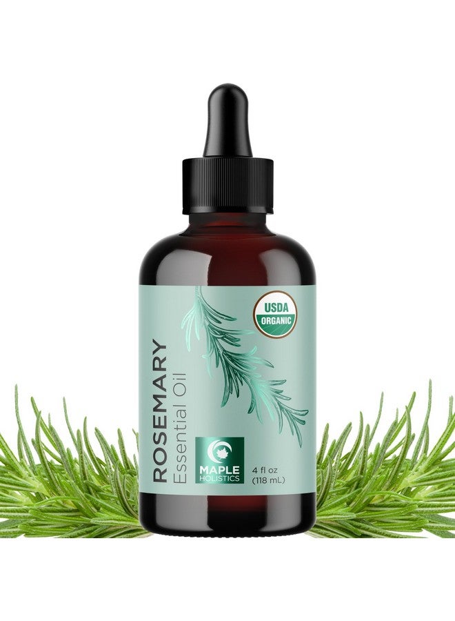 Maple Holistics Certified Organic Rosemary Oil For Hair - Extra Large 100% Pure Usda Organic Rosemary Essential Oil For Hair Skin And Nails - Organic Hair Oil For Dry Scalp Treatment And Enhanced Volume And Shine - Image 1