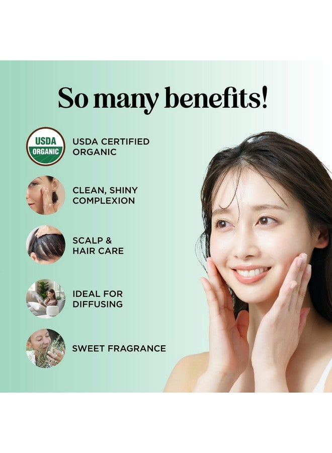 Maple Holistics Certified Organic Rosemary Oil For Hair - Extra Large 100% Pure Usda Organic Rosemary Essential Oil For Hair Skin And Nails - Organic Hair Oil For Dry Scalp Treatment And Enhanced Volume And Shine - Image 2