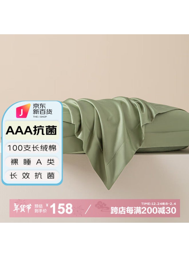 Amor a Class Long-staple Cotton Tribute Satin Pillowcase Set - Tian Shui Green