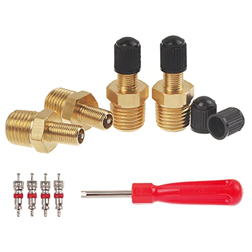 A.I.FORCE 4Pcs 1/4" NPT Tank Valve, Air Compressor Fill Valve With Anti-Corrosion Brass Schrader and Caps, Extra Replacement Stems Cores and Tool - Image 1