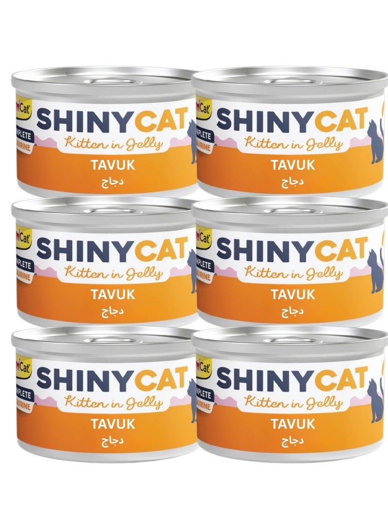 جيم كات اكل قطط رطب طعام قطط رطب بنكهة الدجاج للقطط الصغيرة- 6 علب بوزن 70 جرام