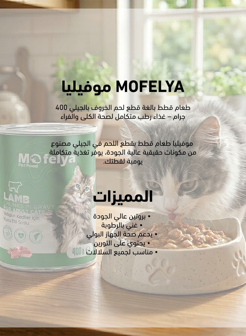 MOFELYA Adult Cat Food, Wet Lamb Jelly, 3 Pieces, 1200g - Wet Cat Food - Image 3