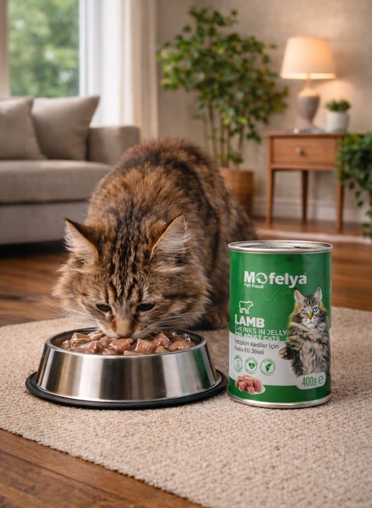 MOFELYA Adult Cat Food, Wet Lamb Jelly, 3 Pieces, 1200g - Wet Cat Food - Image 2