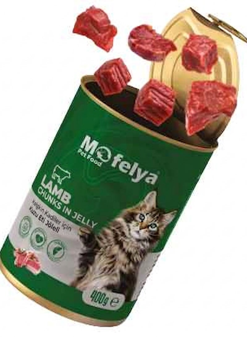 MOFELYA Adult Cat Food, Wet Lamb Jelly, 3 Pieces, 1200g - Wet Cat Food - Image 4