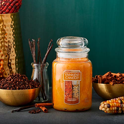 YANKEE CANDLE شمعة يانكي كاندل هارفيست المعطرة، جرة كلاسيكية كبيرة 22 أونصة، شمعة عطرية ذات فتيل واحد، أكثر من 110 ساعات من وقت الاحتراق، شمعة خريفية في جرة صيدلية، شمعة خريف معطرة للمنزل - Image 2