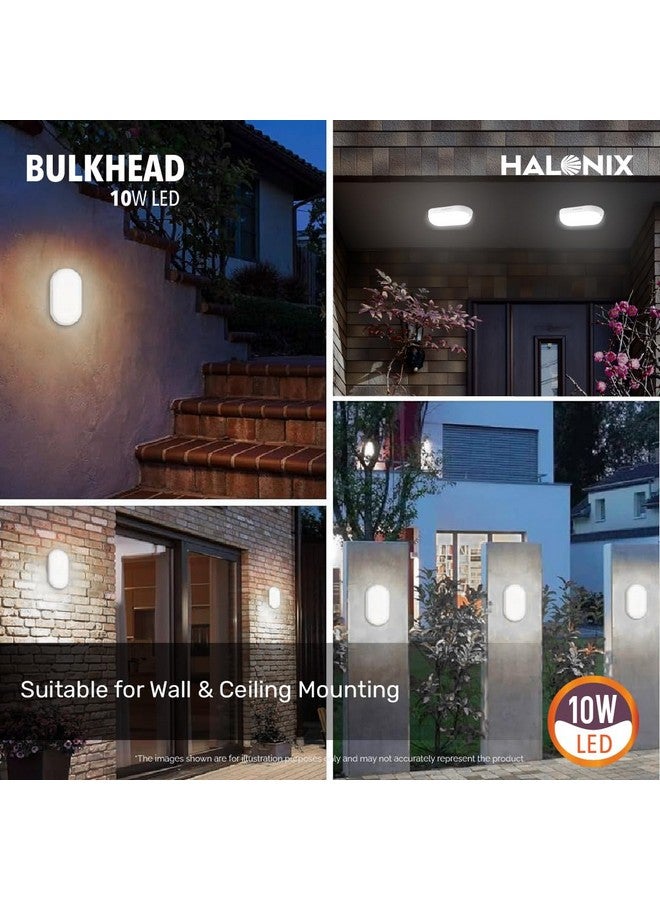 Halonix مصباح حائط هالونيكس 10 واط LED بشكل بيضاوي | ضوء خارجي مقاوم للماء IP65 | ضوء مدخل مقاوم للماء للحديقة الخارجية وإضاءة الحمام (أبيض بارد، عبوة من 3) - Image 2