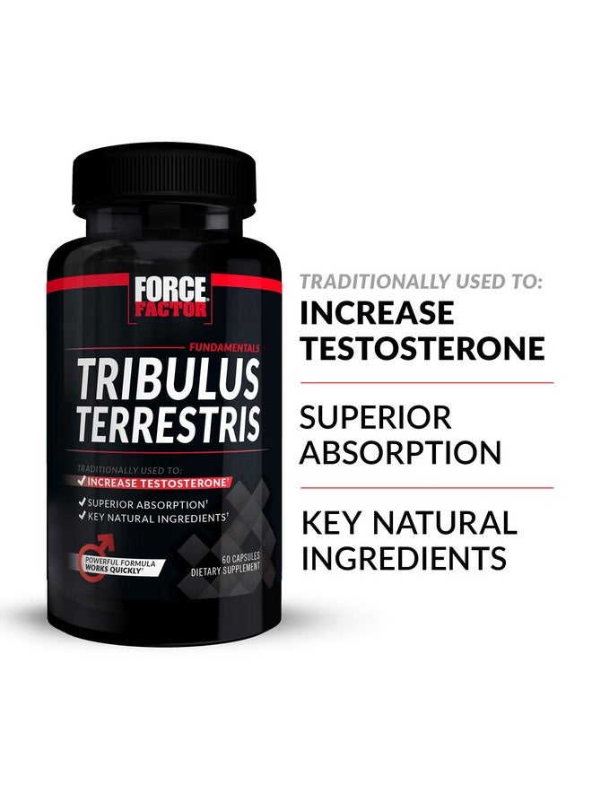 Force Factor Tribulus Terrestris 60Ct (Pack Of 2)  - Image 3
