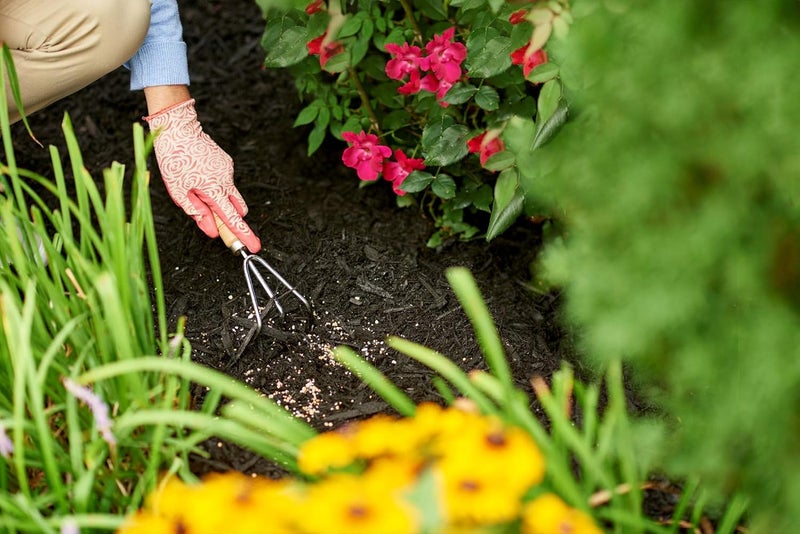 Scotts غذاء نباتات سكوتس للورود والأزهار - 3 أرطال - Image 4