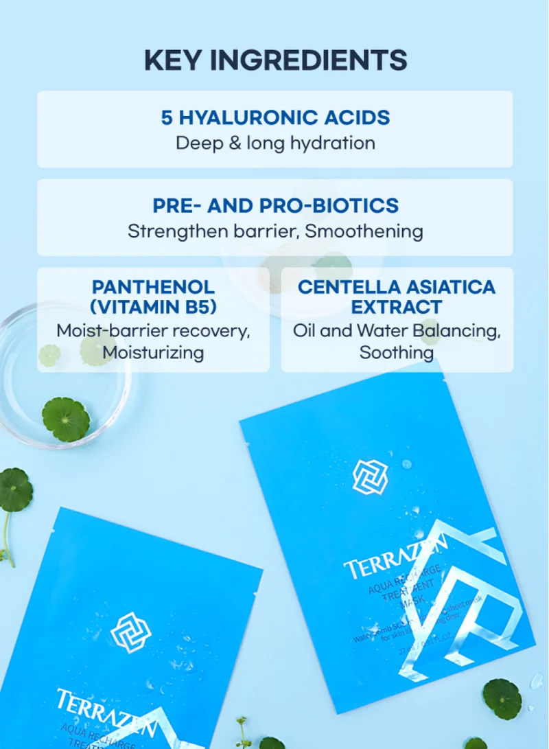 Terrazen AQUA Korean Face Sheet Mask with Hyaluronic Acid 30 Sheet Pack - Natural Beauty Skincare For All Skin Types - Hydrating & Moisturizing for Sensitive Skin