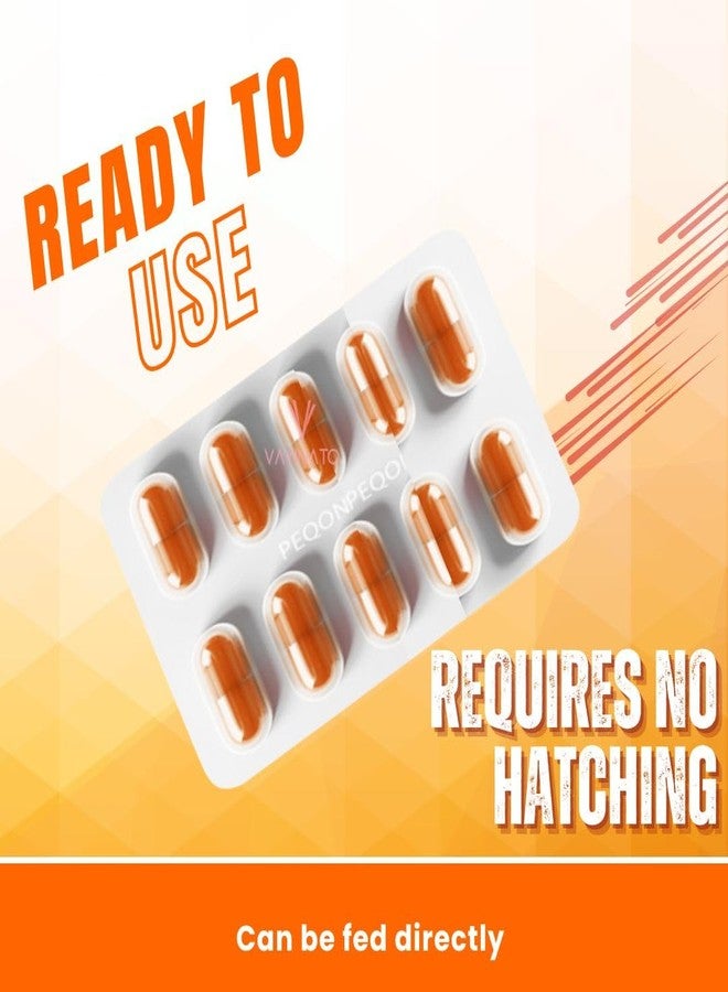 VAYINATO® (8 Strips-80 Capsules) Peqon Decapsulated Brine Shrimp Eggs, No Hatching Required | Shell-Free, High-Protein Nutritional Feed - Image 5