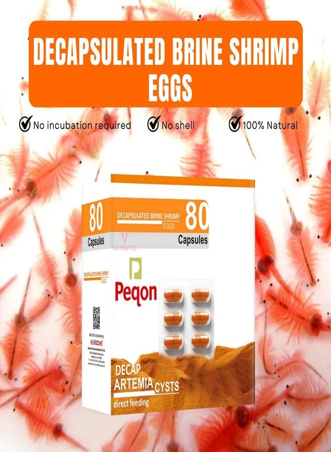 VAYINATO® (8 Strips-80 Capsules) Peqon Decapsulated Brine Shrimp Eggs, No Hatching Required | Shell-Free, High-Protein Nutritional Feed - Image 4