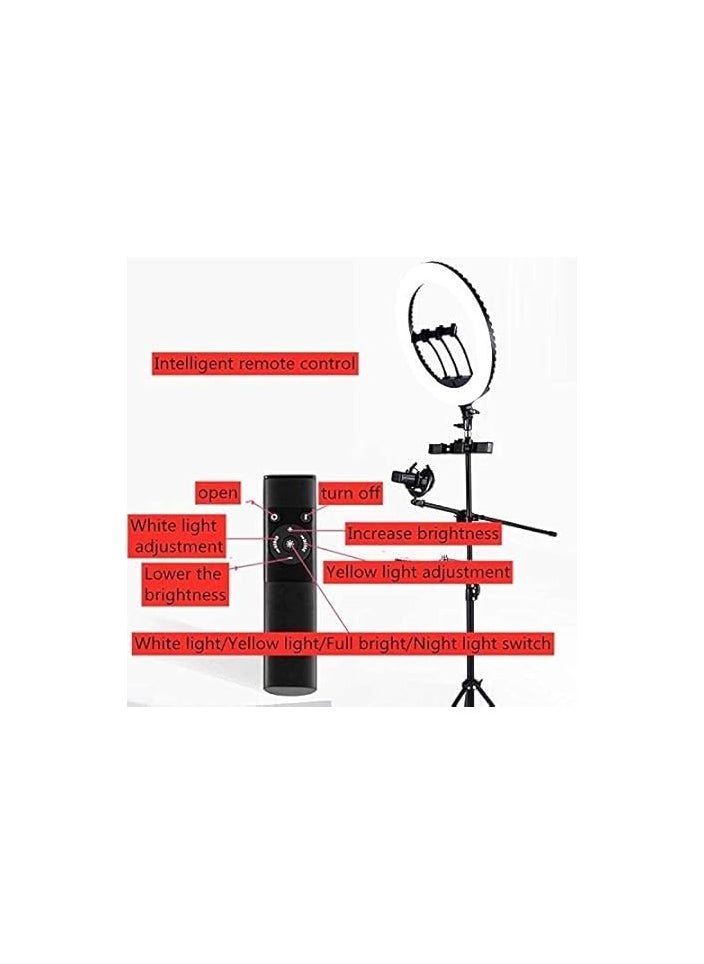 Generic - 21-Inch Dual Color LED Ring Light with Adjustable Tripod – Ideal for Makeup, Photography & Video Recording - Image 1