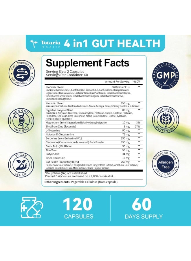 Totaria 4-in-1 Gut Health Supplement with Probiotics, Prebiotics, Postbiotics & Digestive Enzymes ,60 Billion CFU  for Digestion, Immunity & Skin ,120 Capsules - Image 4