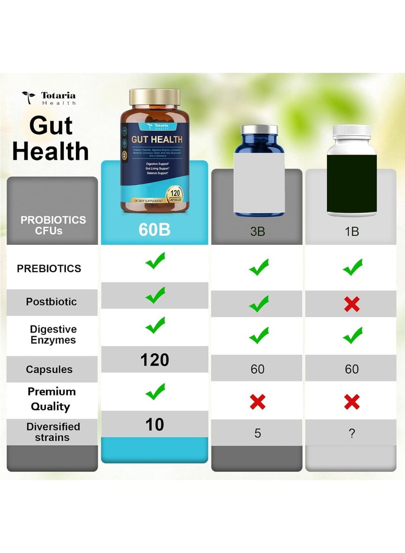 Totaria 4-in-1 Gut Health Supplement with Probiotics, Prebiotics, Postbiotics & Digestive Enzymes ,60 Billion CFU  for Digestion, Immunity & Skin ,120 Capsules - Image 2