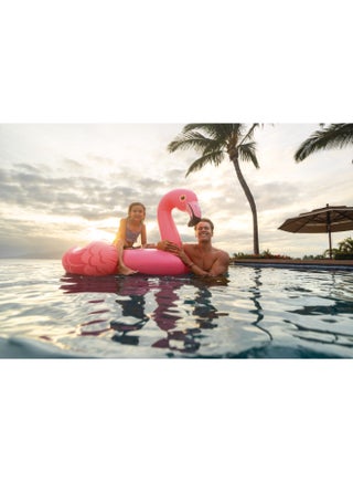 Flamingo Ride-On -Pink 70x53inch - view 4