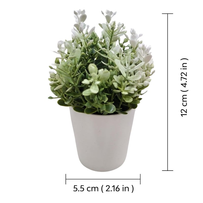 PAPERI Artificial Mini Plants for Home Décor – Fake Rosemary, Wheatgrass & Thyme in Pots, Indoor Plants for Bathroom, Living Room Table Decorations,Small Plastic Trees, Arrangements(Set 3) - Image 3