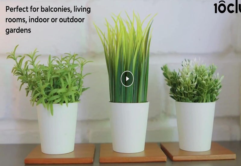 PAPERI Artificial Mini Plants for Home Décor – Fake Rosemary, Wheatgrass & Thyme in Pots, Indoor Plants for Bathroom, Living Room Table Decorations,Small Plastic Trees, Arrangements(Set 3) - Image 4