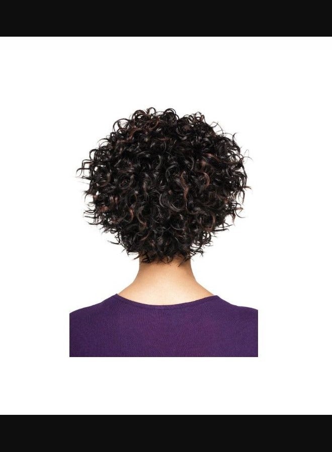 Short African Fluffy Curly Hair Wig  - Image 3