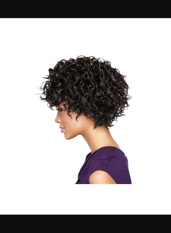 Short African Fluffy Curly Hair Wig  - Image 2