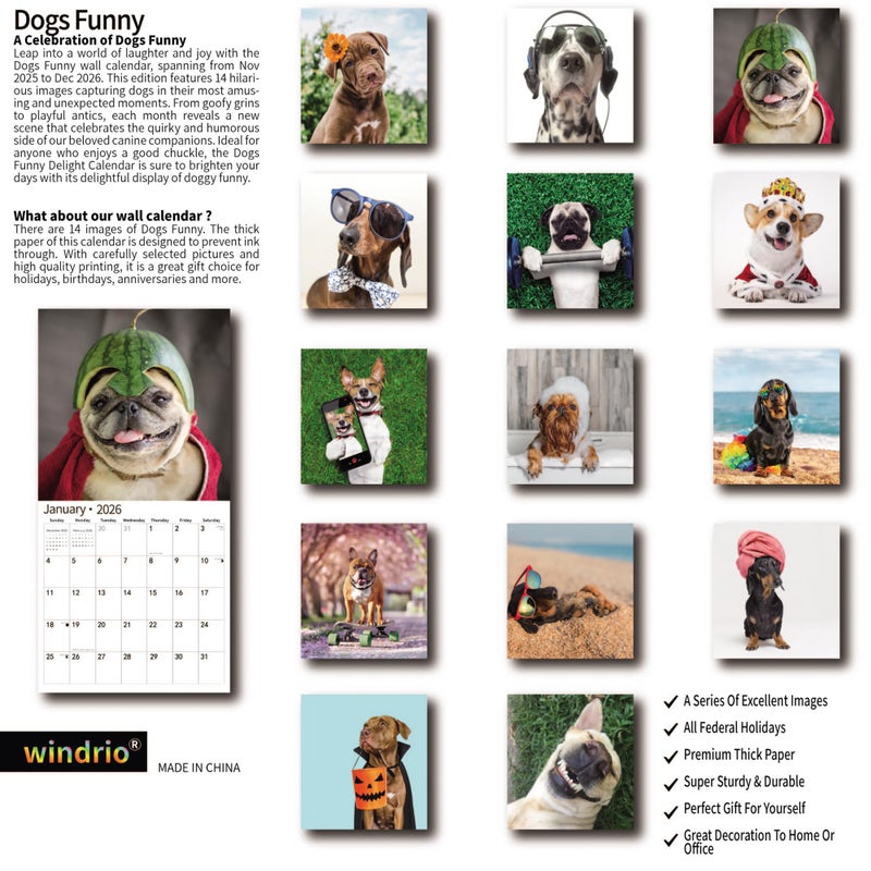 windrio 2026 Wall Calendar,Funny Calendar 2026, November 2025 - December 2026, Wall Calendar Funny Animal Memes, 12" x 24" Opened, Full Page 14 Months Thick Paper for Gift Calendar Organizing Planning - Image 2