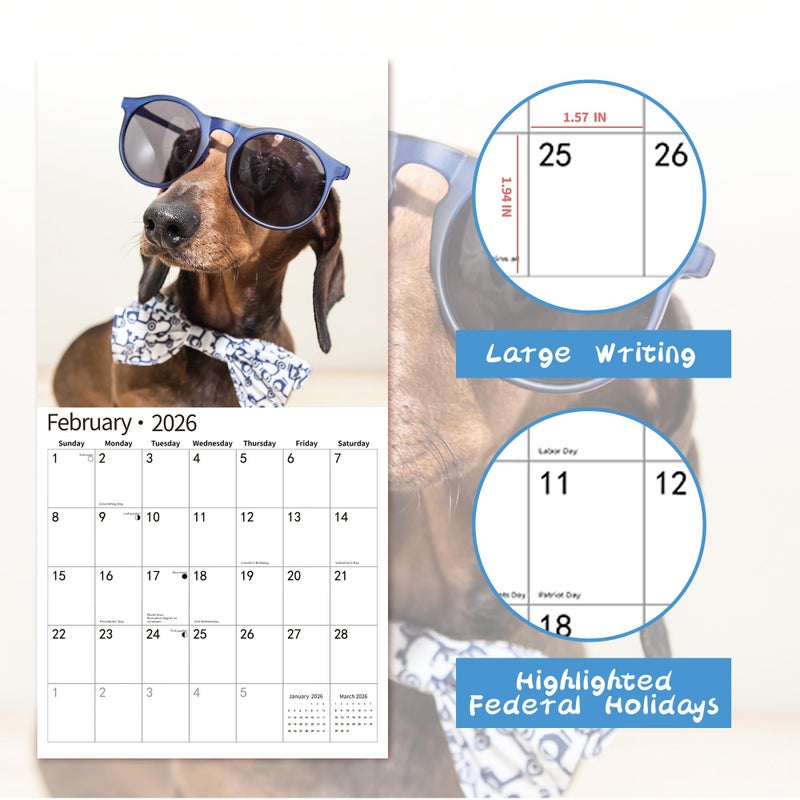 windrio 2026 Wall Calendar,Funny Calendar 2026, November 2025 - December 2026, Wall Calendar Funny Animal Memes, 12" x 24" Opened, Full Page 14 Months Thick Paper for Gift Calendar Organizing Planning - Image 3