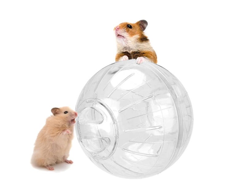 Sage Square كرة الهامستر، كرة تمرين مع غطاء قابل للتثبيت، بلاستيك متين، توفر المرح والترفيه، للهامستر القزم، الفأر، الجربيل، خنزير غينيا، الشينشيلا 12 سم (أبيض) - Image 1