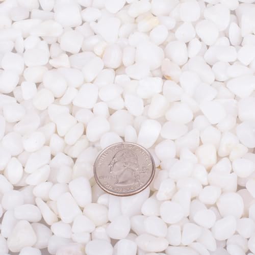 HOT SEAL 2.0 LB White Aquarium Gravel Pebbles 3/8", Natural Decorative Aquarium Substrate Small River Rocks, Mini Pebbles Stone for Fish Tank, Aquatic Plant Bonsai, Hydrophyte - Image 2