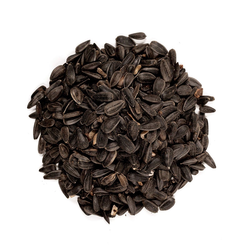 Wagner's 52023 Black Oil Sunflower Seed Wild Bird Food, 5-Pound Bag - Image 3