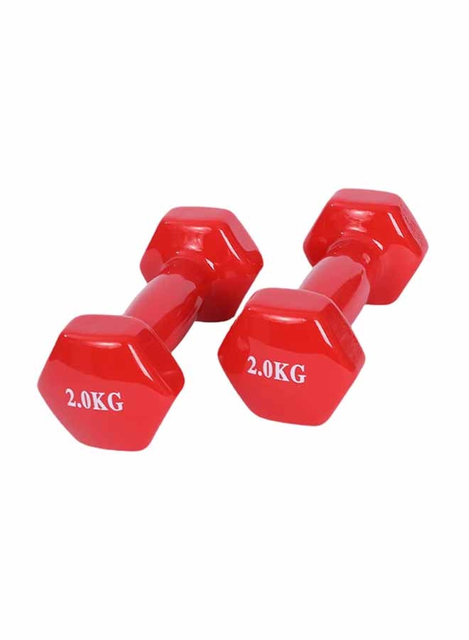 ENDLESS  Endless Vinyl Coated Fixed Dumbbell for Gym Exercises | Pair of 2 Kg ( 2 * 4.4 LB ) | Material : Iron with Vinyl Coat | Weights for Women and Men  - Image 1